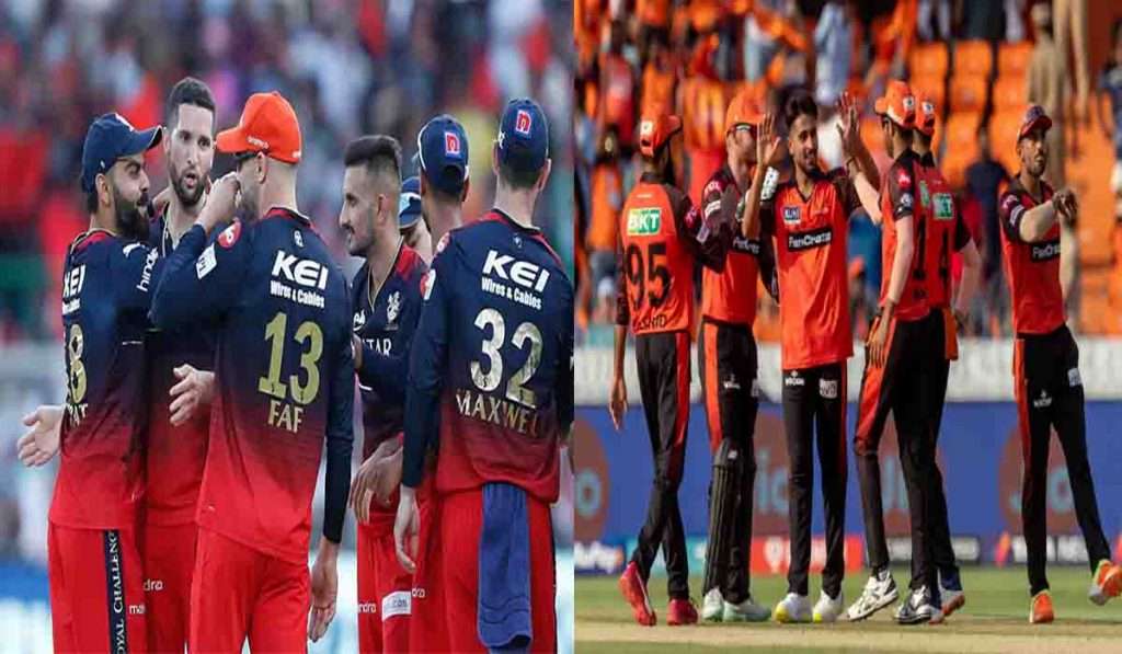 RCB vs SRH, कोहली मारणार बाजी की शेवटच्या सामन्यामध्ये सनरायजर्स हैदराबाद होणार विजयी