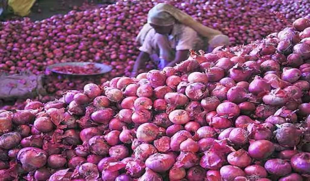 मोदी सरकारचे शेतकऱ्यांना मोठे गिफ्ट ! कांदा निर्यातबंदी हटवण्याचा घेतला मोठा निर्णय