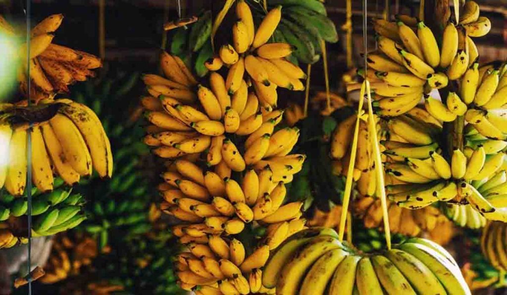 उन्हाळयामध्ये केळी खाल्ल्याने शरीराला होतात आरोग्यदायी फायदे